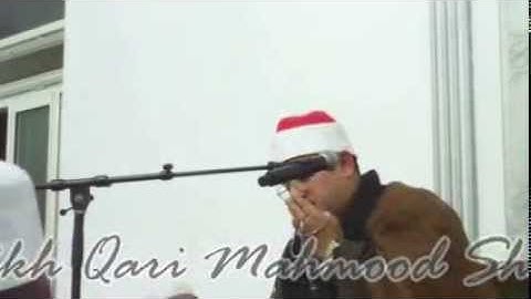 محمود الشحات انور سورة الشمس