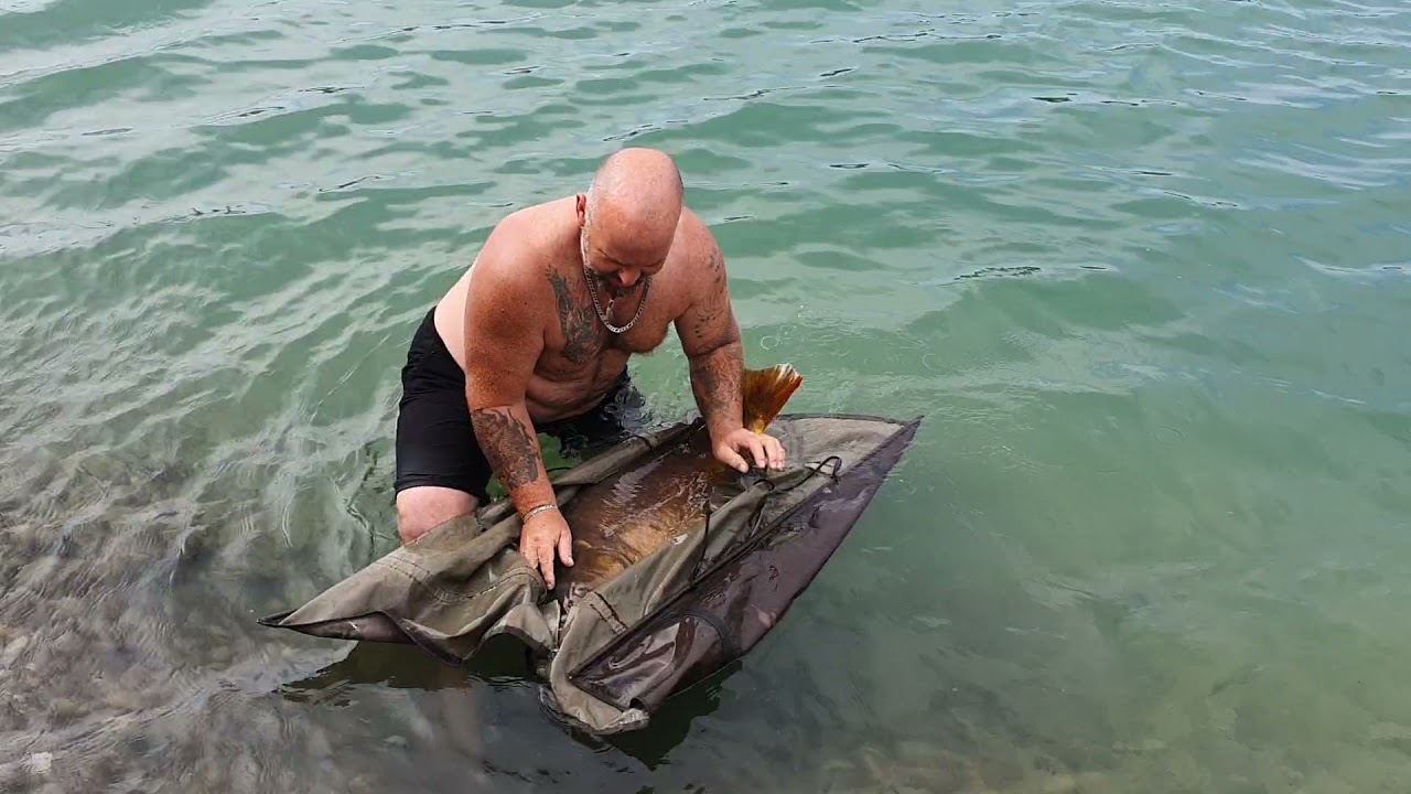 CarpTeamMobydick Austria 20kg Karpfen