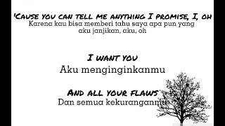 Flaws  Calum Scott Lirik Lagu Terjemahan Bahasa Indonesia