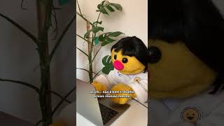 Toda Segunda Feira É Im.