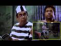 Jaffa Movie Brahmananadam Comedy Scene || Vennela Kishore || Telugu Comedy Movie || No.1 Cinema