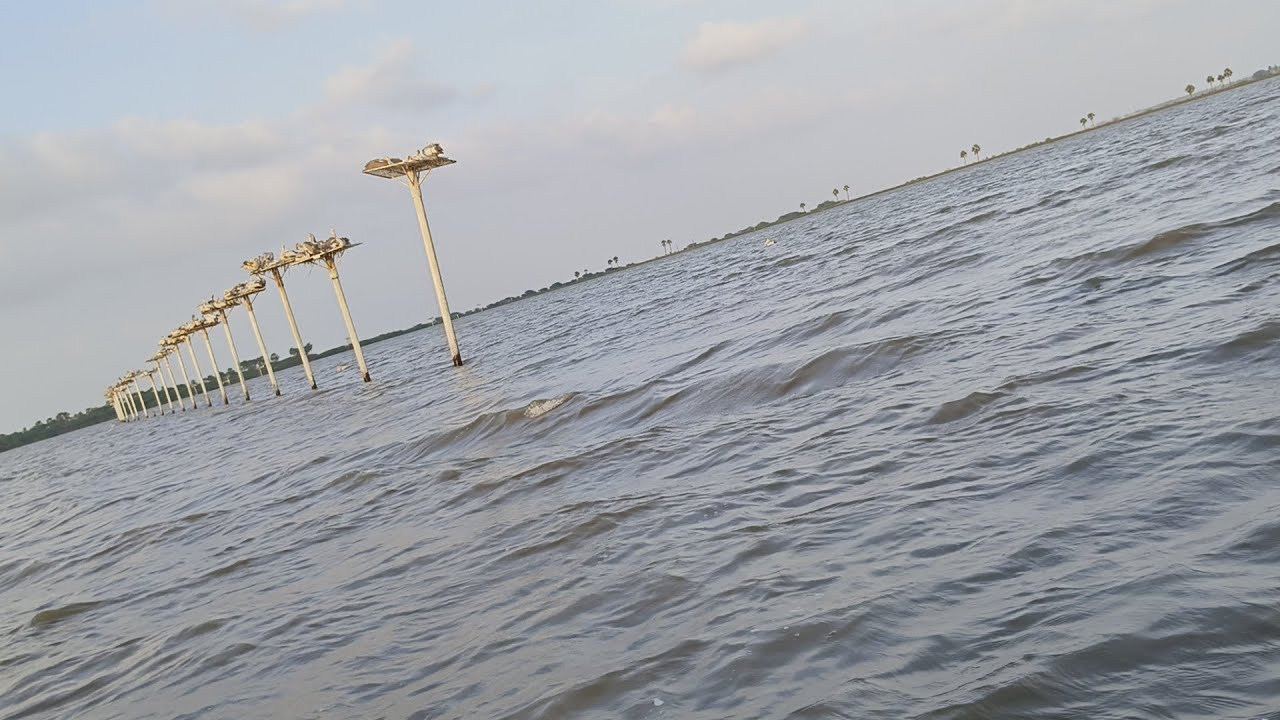 Kolleru Bird Sanctuary || Kaikuluru