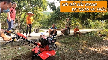 Máy xới đất Kachita làm đất vải Thiều tại Sơn Động Bắc Giang