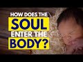 How And When Does The Soul Enter The Human Body & Where Does It Reside| Daaji | Heartfulness