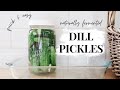 The BEST Quick & Easy Homemade Dill Pickles | Naturally Fermented Dill Pickles | Fermenting Recipe