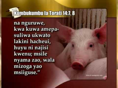 Video: Usitumie vibaya jina la mungu aya ya biblia?