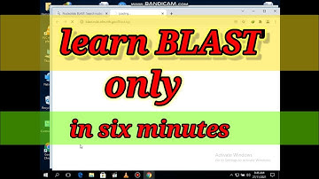how to do blast in NCBI||bioinformatics practical blast||in easy way#from undefined learning