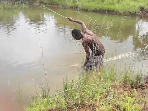 Fibre Extraction From Jute (Retting process) - YouTube