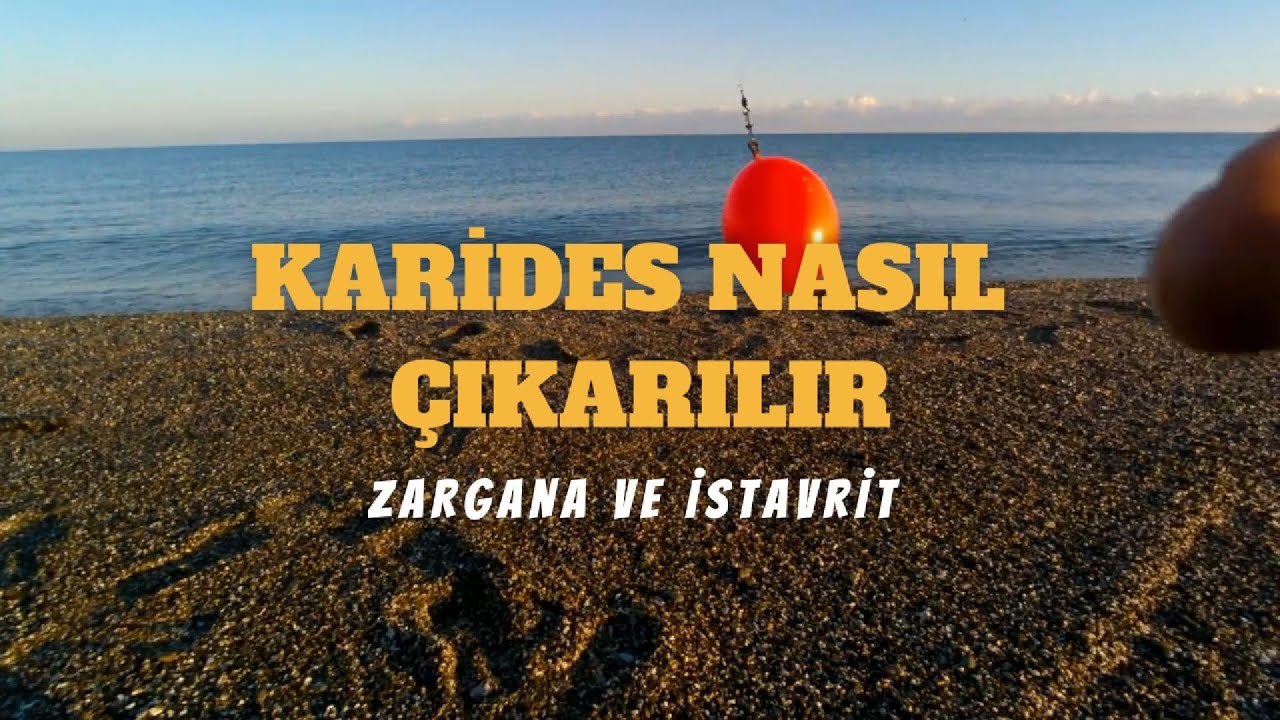 BALIK AVI İÇİN YEMLİK KARİDES NASIL ÇIKARILIR! #karides #balıkavı # ...