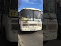Паз-3205 рестайлинг #transport #arh #bus