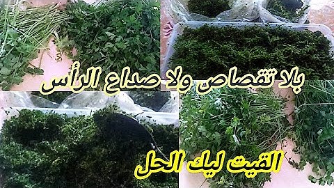 درت ضجة كبيرة بلا تقصاص وصداع الرأس حتافضي به سنة مايجمد ولا يتحجر في دقائق اكبر كمية او تهناي...