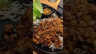 Shauna J Travel Vlog - Traveling From Atlanta to Kansas City Solo 2024 Video