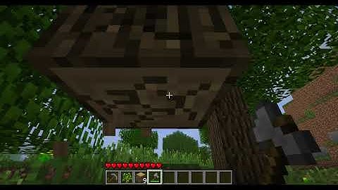 Minecraft Beta 1.7.3 - Let