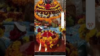 Durga Maiya Marwadi #bhaktisong @kitchenkingsunitiqueen Arun ji technical