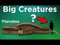 Largest Creatures and Their Needs