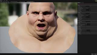 Modify Meta Human Corrective Morph Targets in Zbrush