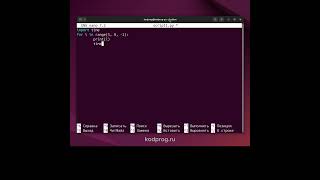 Самый полезный скрипт на python #python