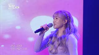   kyoungseo   X dear My X