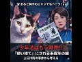 まると純子のニャンでもトーク!「少年法」もう限界!
