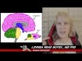Brain Anatomy for Intro to Pharmacology