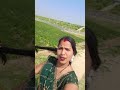 #rok sake #Jo Dil# Walon Ko# short video viral #population #trending #