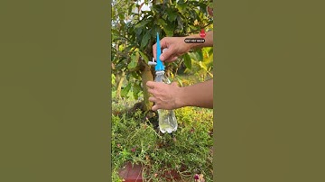 Đầu tưới nhỏ giọt gắn chai nước giá rẻ tiện lợi đi vắng ko lo cây héo#becnhogiot