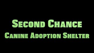 Second Chance Canine Adoption Shelter