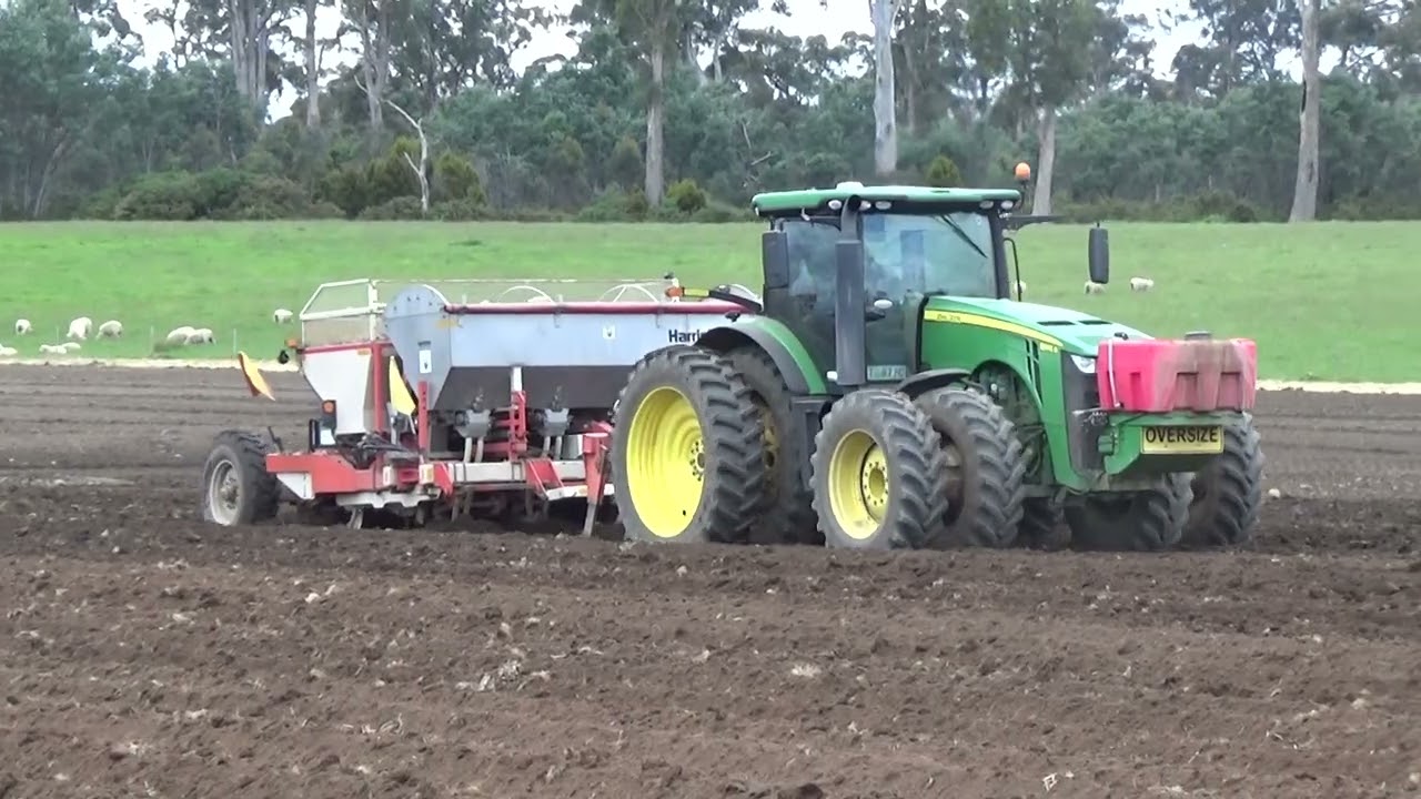 Entally Forest Potato Planting 2025 Part 1
