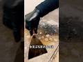 料理人がグリルに氷をぶちまける理由