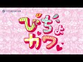 【特別展】ぴちょぴちょカワイイ展【サンシャイン水族館】