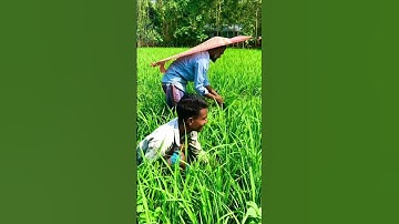 bangla funny video #funny #shorts #foryou