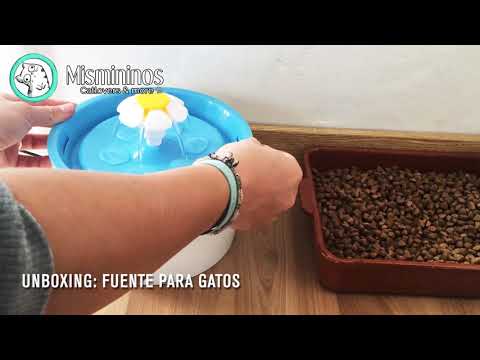 Fuentes de agua para gatos - Mismininos - Petlovers & more -