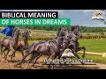 Biblical meaning of horses in dreams  proverbs 2131 prophetic meaning of horses
