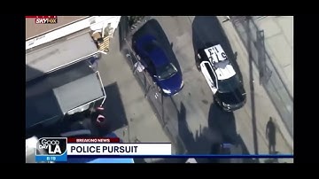 Random Videos I Have Saved On My Camera Roll