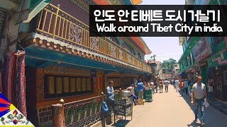 Walking through Tibetan cities in India-Eurasia【43】