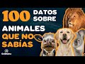 100 datos sobre  animales que no  sabas hace pocos  minutos