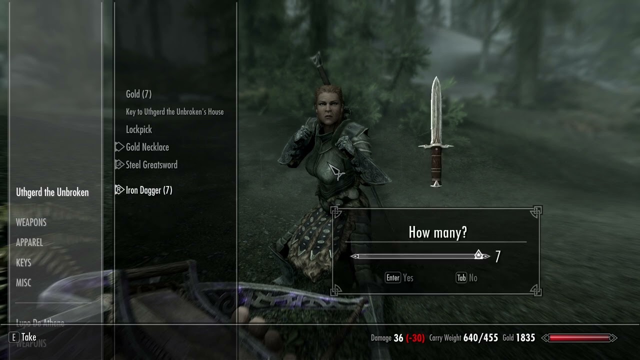 Lupo Mk II 021   Lakeview Manor Begun Small House and storage management