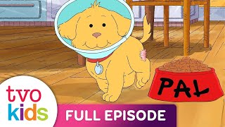 ARTHUR  Invasion of the Soccer Fans / Pal and the Big Itch  Full Episode