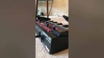 Jungle - @TashSultanaMusic harp +loop pedal cover