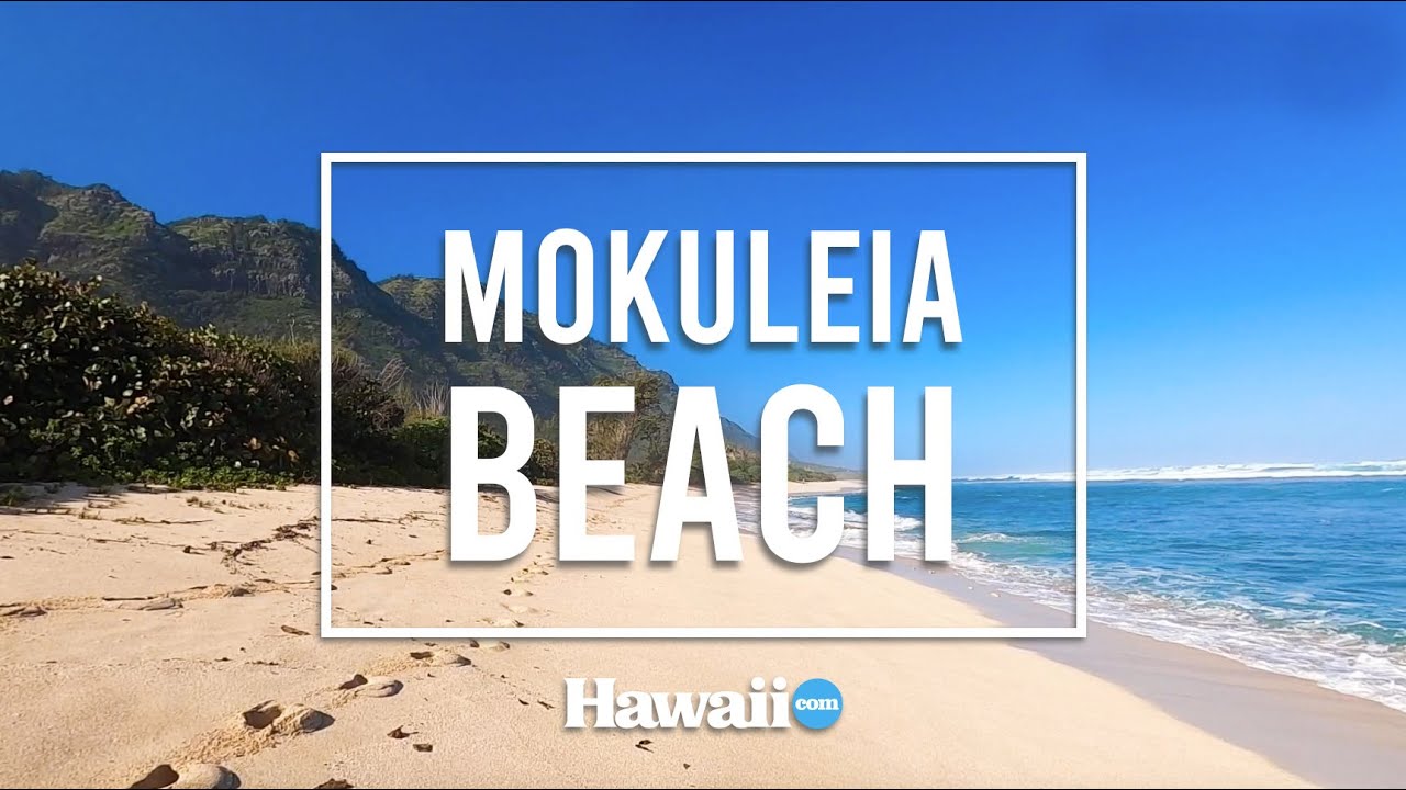 A Walk Along Peaceful Mokuleia Beach YouTube