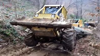 Dangerous Tree Transport Excavator Heavy Equipment Working