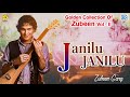 Zubeen Garg Remix Song 2019 | Janilu Janilu Je Moi | Assamese Love Song | Jonaki Mon | NK Production Mp3 Song