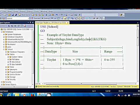 SQL Server Data Type - Tiny Int (Hindi)