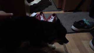 Mimmin Epilepsiakohtaus 7.7.2018