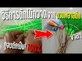 ดูจบถักเป็น!! วิธีการถักไม้กวาดจากขวดพลาสติกง่ายๆได้ด้วยตัวเอง | DIY KASET