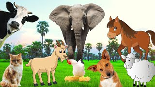Funny animal sounds - Cow, dog, cat, elephant, horse - Familiar animals