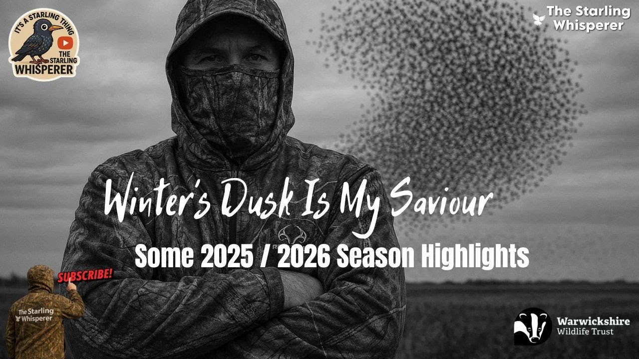 Winter's Dusk Is My Saviour. Some 2025 / 2026 Highlights. 