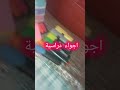 يوم الجمعة لطالب بيام 2026
