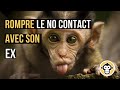 Rompre le no contact  silence radio avec son ex