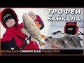 Ловля трофейного окуня на Байкале | Рыбалка в "Провале".